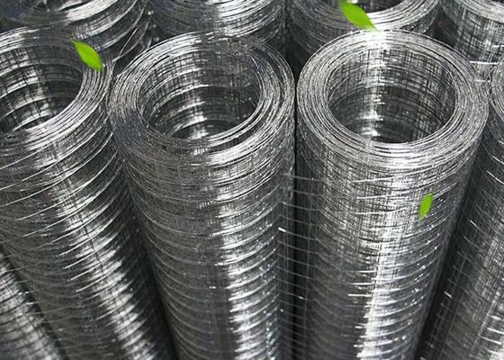 Aviaries 30M lunghezza laminati a maglia di filo saldato con trattamento finale di superficie galvanizzata a caldo