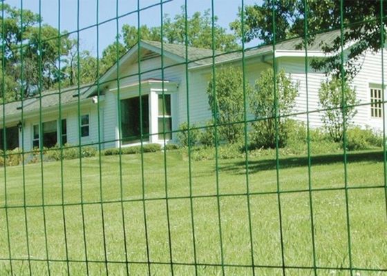 Il verde ha ricoperto il cavo Mesh Roll Welded Wire Mesh di 0.35mm-6mm che recinta Rolls antinvecchiamento