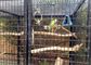 Non arrugginire ha saldato la maglia 10m-30m di Mesh Zoo Animal Enclosure Wire del filo di acciaio