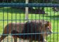 Non arrugginire ha saldato la maglia 10m-30m di Mesh Zoo Animal Enclosure Wire del filo di acciaio