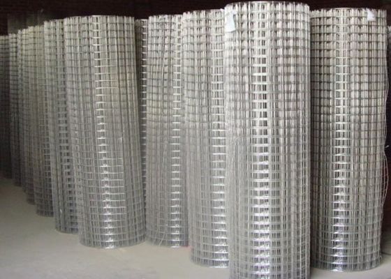 15m 20m 30m Stainless Steel Welded Wire Mesh Usato come gabbia o recinzione per pollame