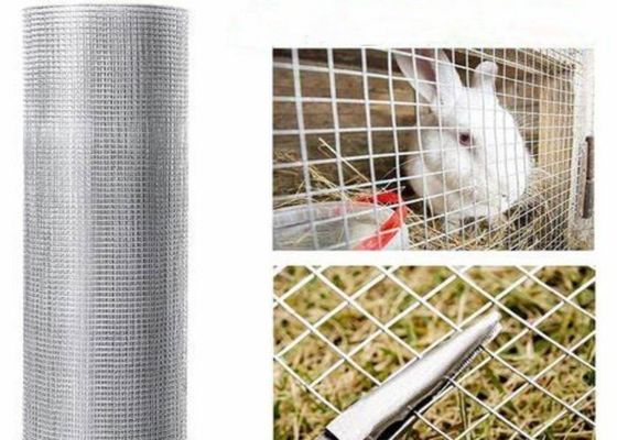 15m 20m 30m Stainless Steel Welded Wire Mesh Usato come gabbia o recinzione per pollame