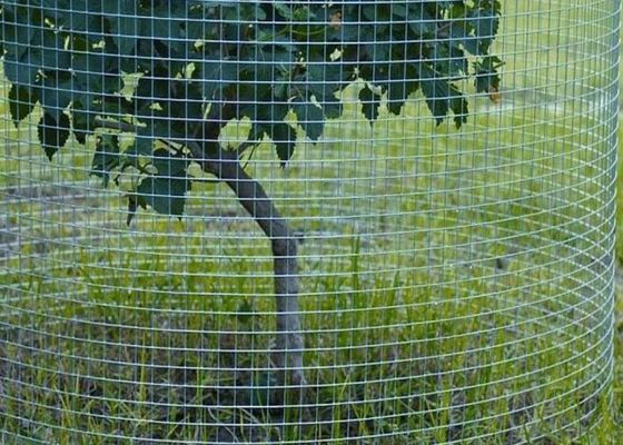 Acciaio inossidabile con rete di filo saldato per applicazioni agricole
