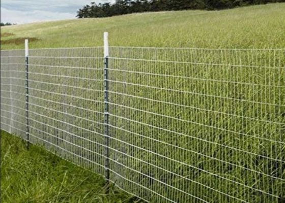 Acciaio inossidabile con rete di filo saldato per applicazioni agricole