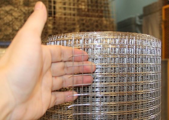 Griglia galvanizzata con vernice di plastica protettiva