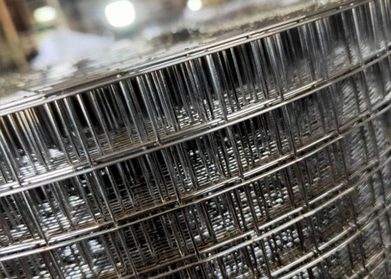 Rulli di maglie saldate galvanizzate verdi per il rinforzo del calcestruzzo