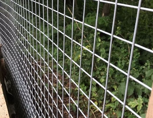Rulli di maglia saldata galvanizzata a caldo per gabbie per animali