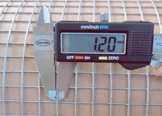 Rete metallica elettrosaldata zincata con lunghezza rotolo 50M e larghezza 0,5m per recinzioni animali