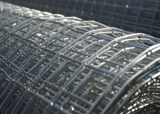 cavo saldato galvanizzato immerso caldo Mesh Animal Cage Wire Mesh di 1mm-3mm inossidabile