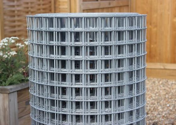 50X50 ha galvanizzato il cavo saldato Mesh Rolls recinto di filo metallico da 6 piedi Roll Abrasion Proof