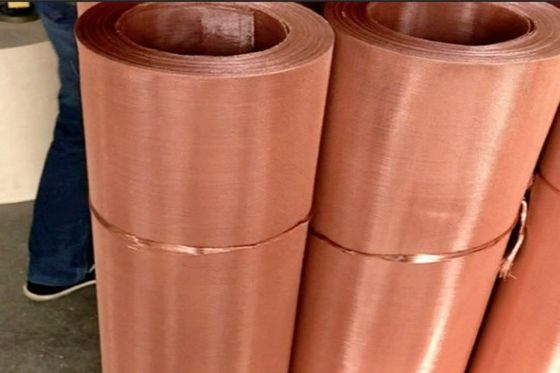 Cavo ad alta resistenza e durezza tessuto Mesh Screen Phosphor Bronze