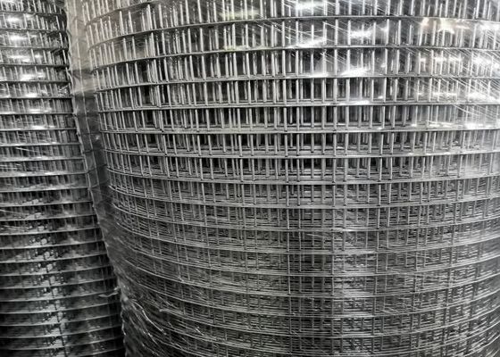 Oem Galvanizzato Rulli di maglia bianca saldata 25,4 mm x 25,4 mm